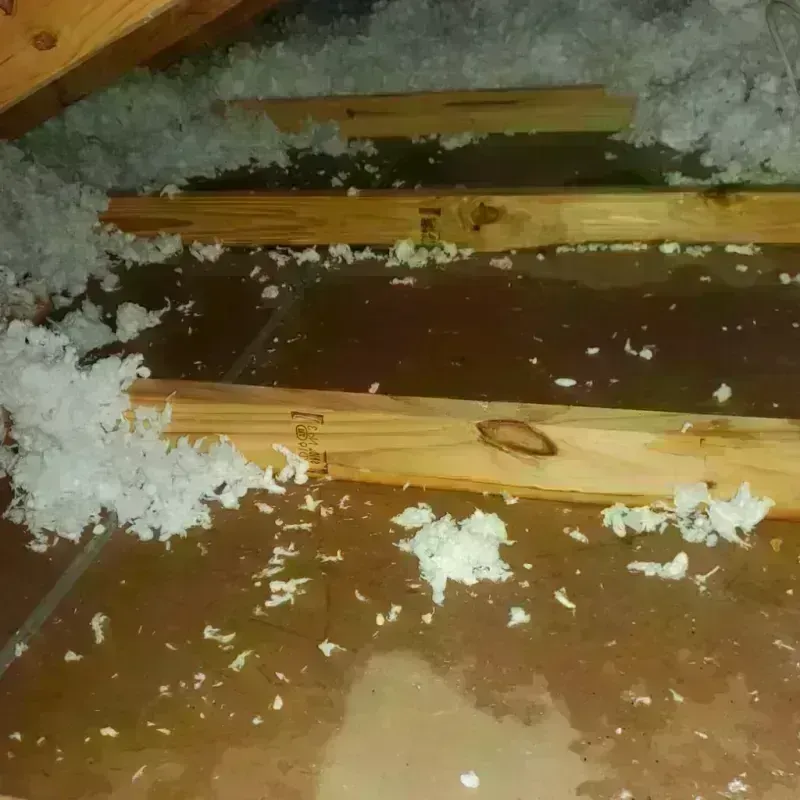 Attic Water Damage in Wilkesboro, NC